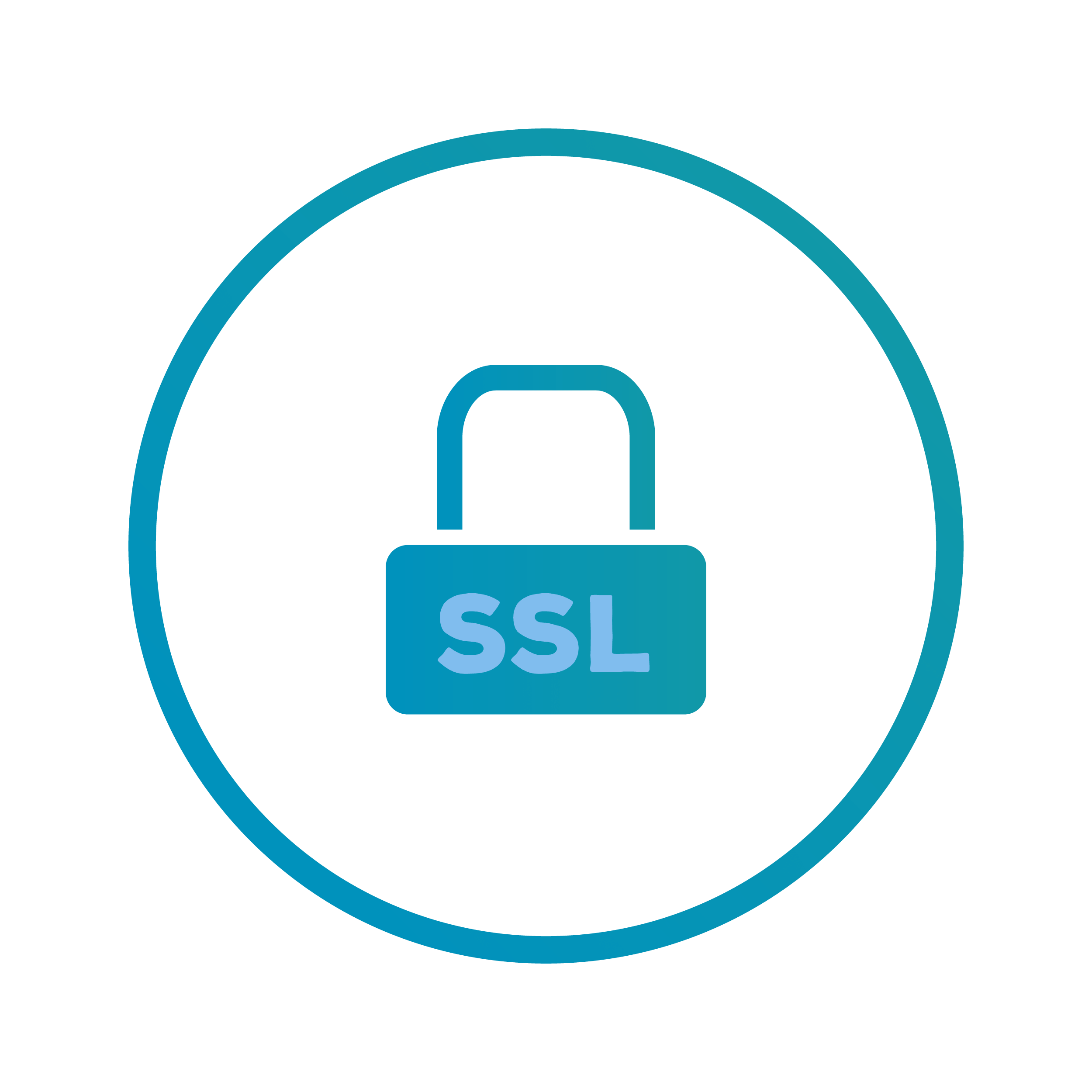 icono SSL N21Pay